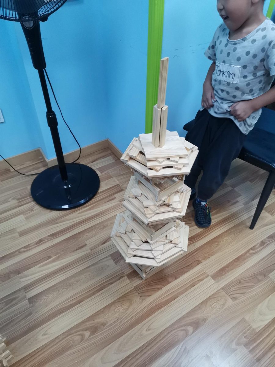 阿基米德积木搭建比赛作品展示（48）